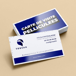 carte de visite pelliculee