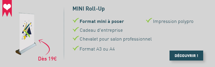 mini roll up entreprise